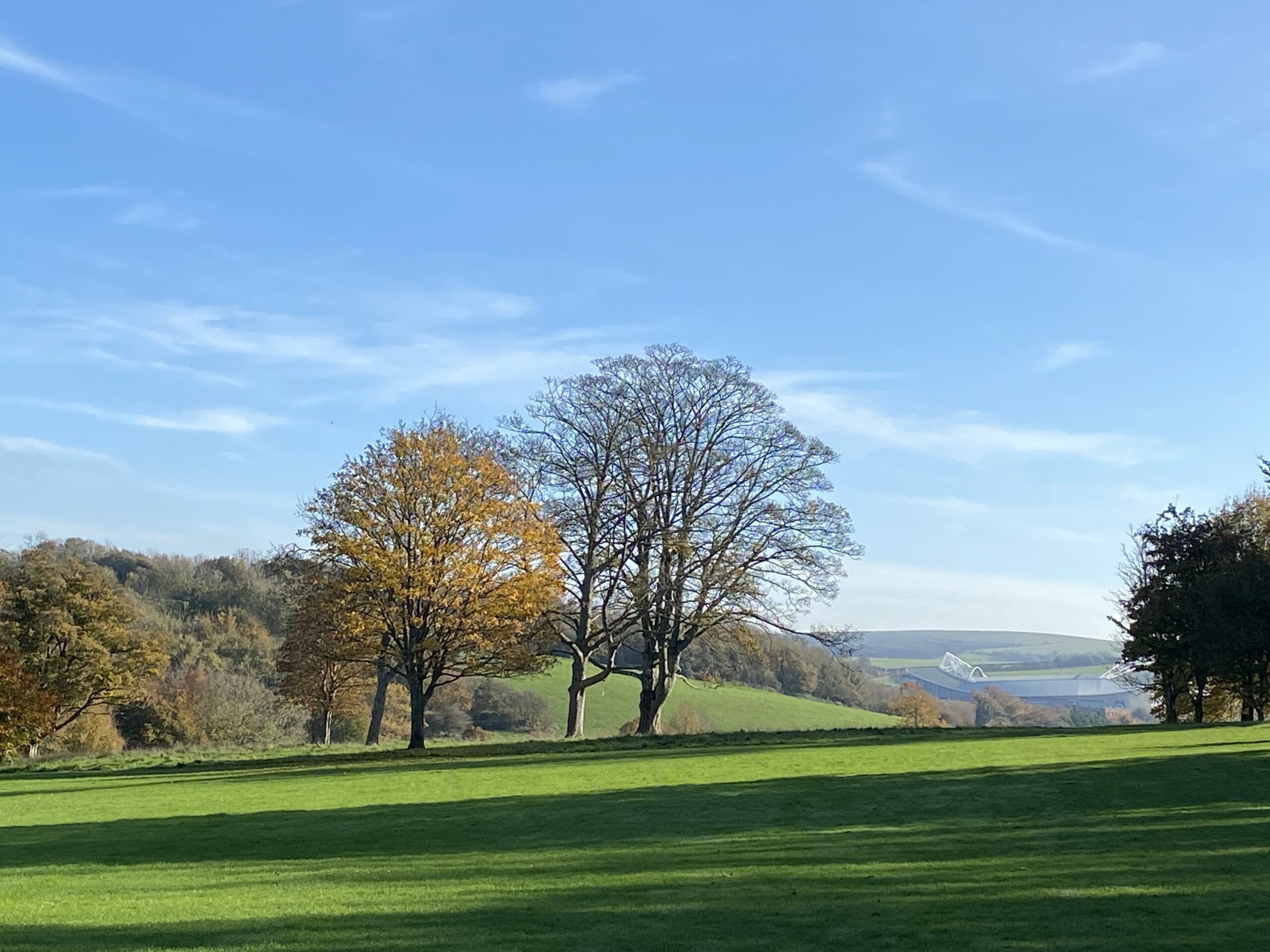 Community Walk April