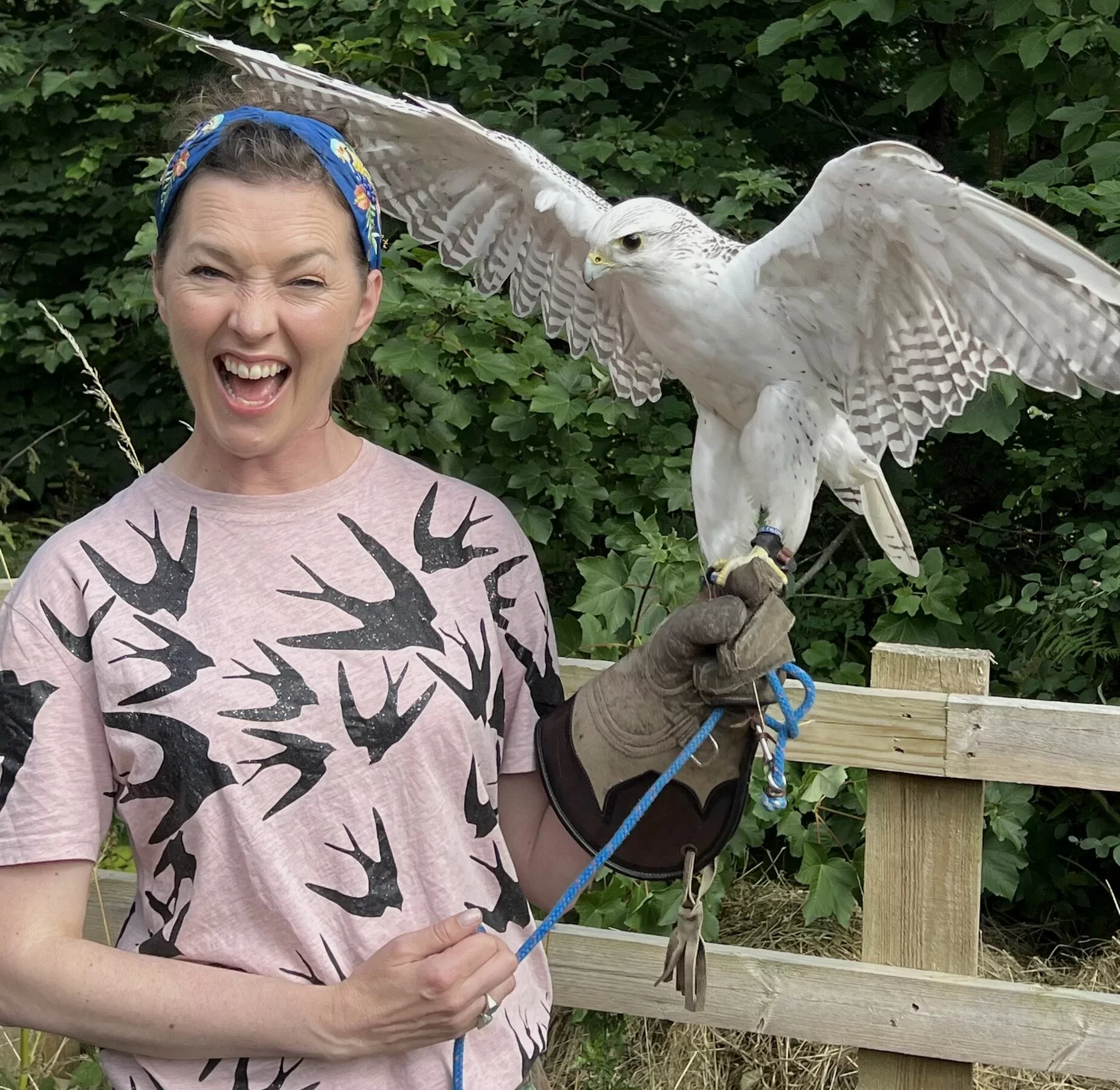 Brighton Festival: Feather with M.G. Leonard